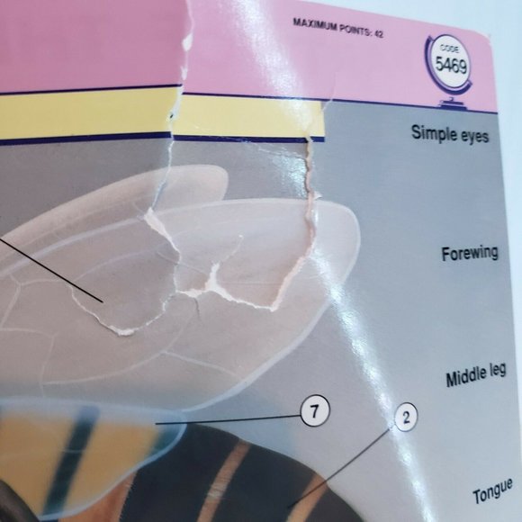 Geosafari Learning Game Science 10 Cards Pages, 20 Lessons EI-8715 - Picture 6 of 6